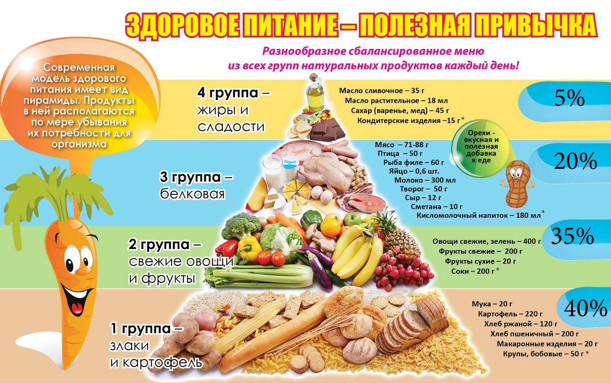Пирамида питания Пирамида питания